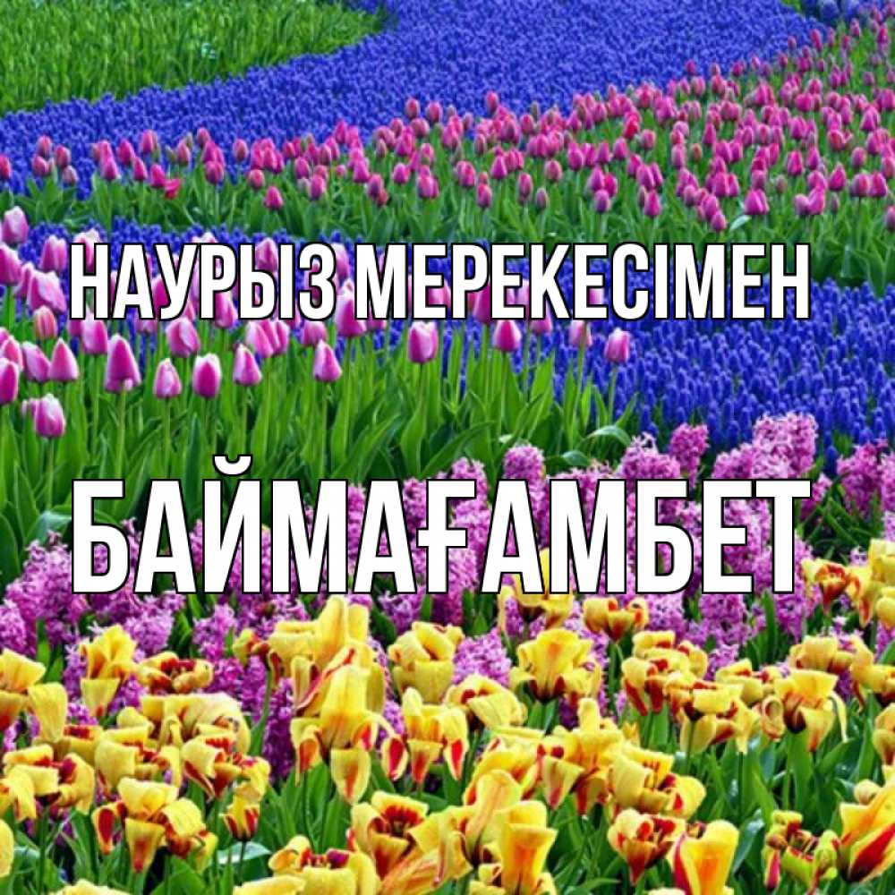 Күн сайын ашық хат с именем, Баймағамбет Наурыз мерекесімен цветы Онлайн тегін жүктеп алу тілектері бар керемет карта 