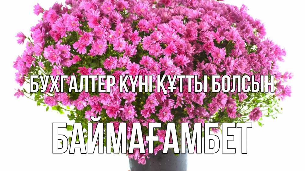 Күн сайын ашық хат с именем, Баймағамбет бухгалтер күні құтты болсын с днем бухгалтера Онлайн тегін жүктеп алу тілектері бар керемет карта 