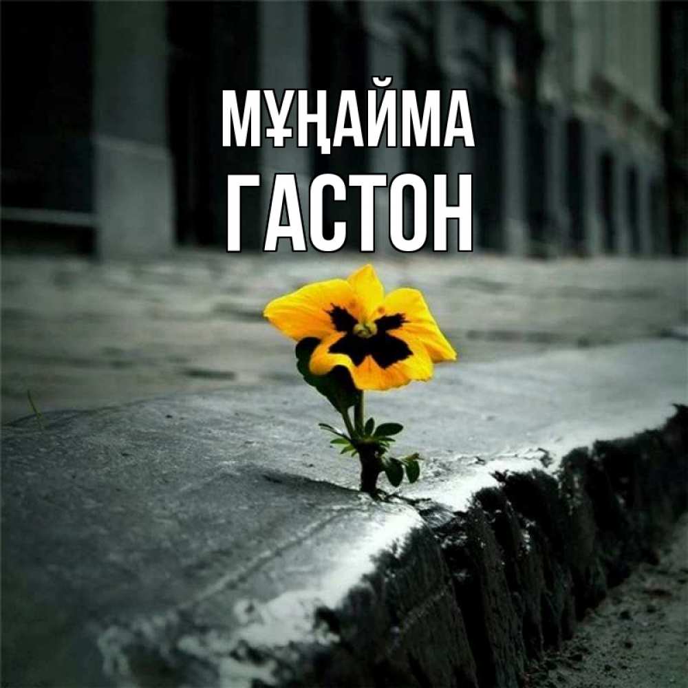 Күн сайын ашық хат с именем, Гастон Мұңайма не сдавайся Онлайн тегін жүктеп алу тілектері бар керемет карта 