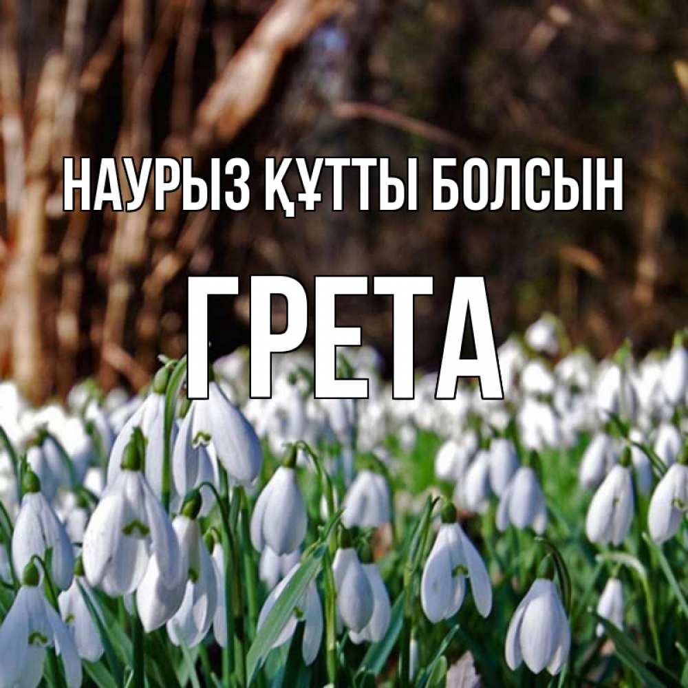Күн сайын ашық хат с именем, Грета Наурыз құтты болсын с подснежниками 1 Онлайн тегін жүктеп алу тілектері бар керемет карта 