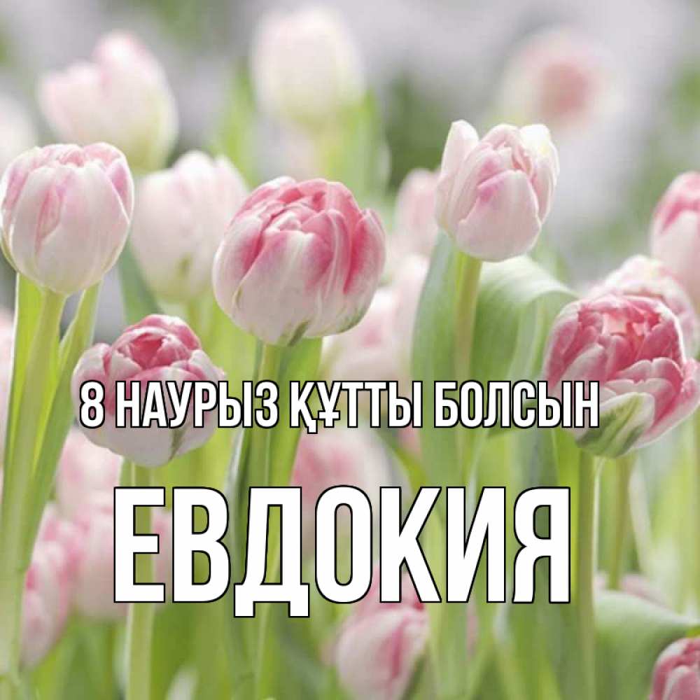 Күн сайын ашық хат с именем, Евдокия 8 наурыз құтты болсын цветы Онлайн тегін жүктеп алу тілектері бар керемет карта 