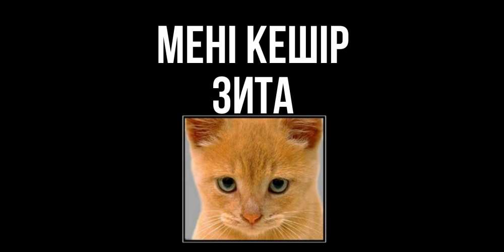 Күн сайын ашық хат с именем, Зита Мені кешір рыжий грустный кот просит прощения Онлайн тегін жүктеп алу тілектері бар керемет карта 