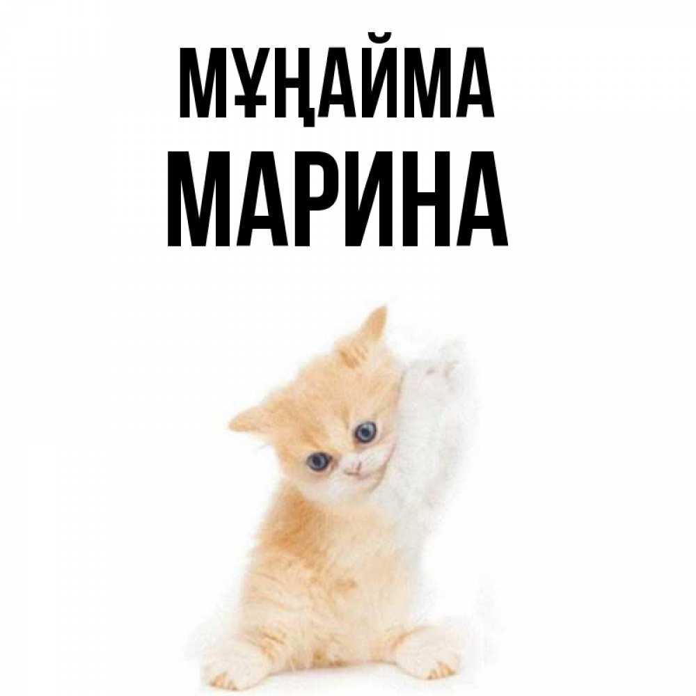 Күн сайын ашық хат с именем, Марина Мұңайма просящий кот Онлайн тегін жүктеп алу тілектері бар керемет карта 