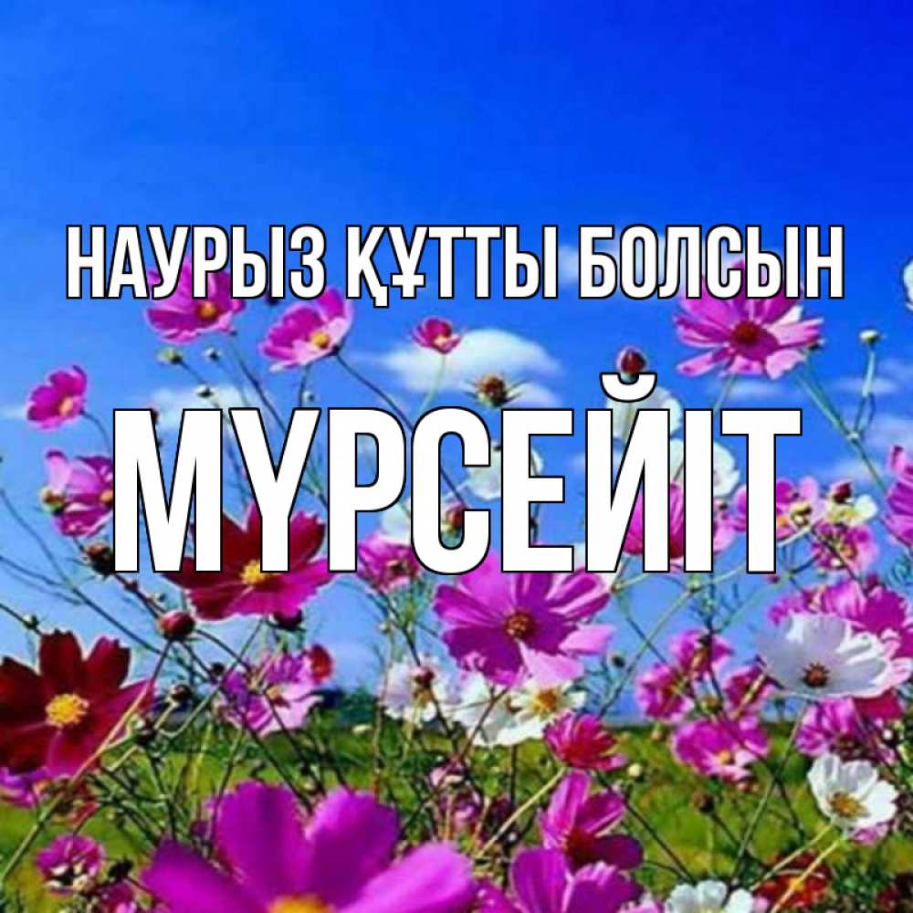Күн сайын ашық хат с именем, МҮРСЕЙІТ Наурыз құтты болсын цветы Онлайн тегін жүктеп алу тілектері бар керемет карта 