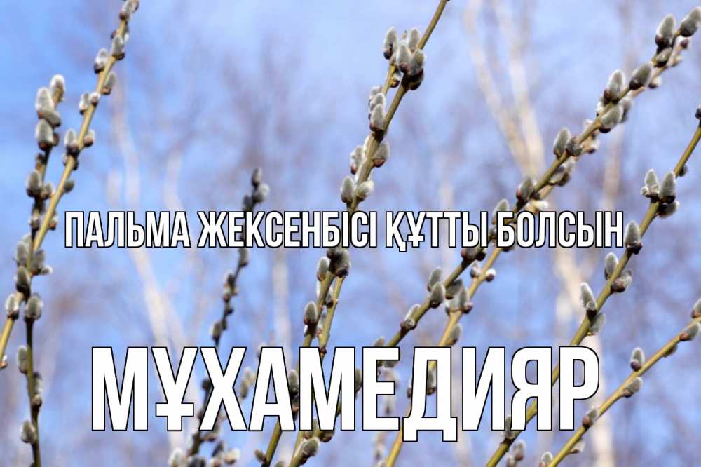 Күн сайын ашық хат с именем, МҰХАМЕДИЯР Пальма жексенбісі құтты болсын верба Онлайн тегін жүктеп алу тілектері бар керемет карта 
