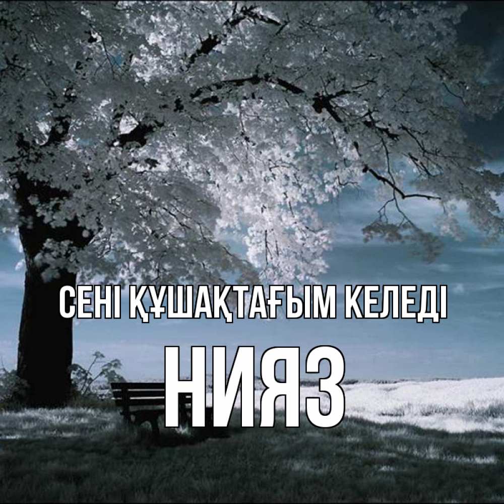 Күн сайын ашық хат с именем, НИЯЗ сені құшақтағым келеді дерево Онлайн тегін жүктеп алу тілектері бар керемет карта 