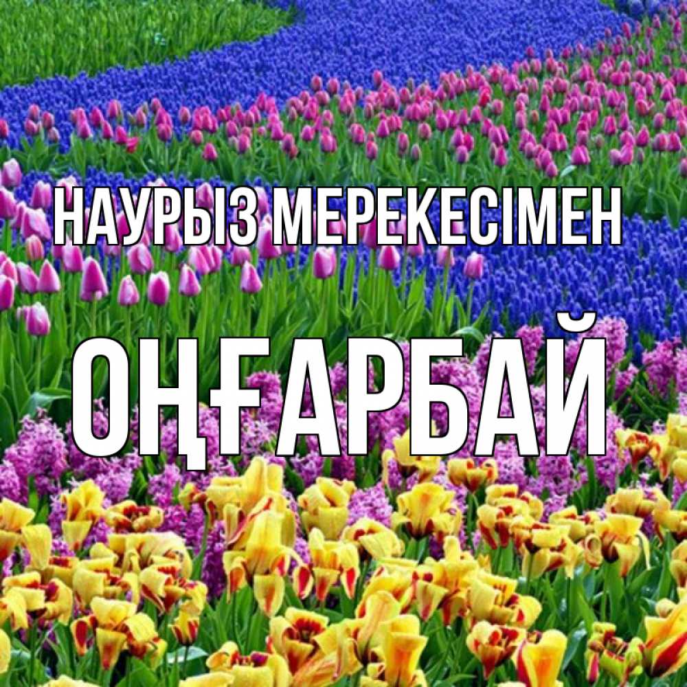 Күн сайын ашық хат с именем, ОҢҒАРБАЙ Наурыз мерекесімен цветы Онлайн тегін жүктеп алу тілектері бар керемет карта 