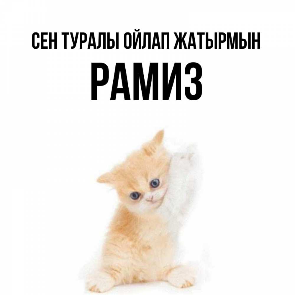 Күн сайын ашық хат с именем, РАМИЗ Сен туралы ойлап жатырмын зверушки и милота Онлайн тегін жүктеп алу тілектері бар керемет карта 