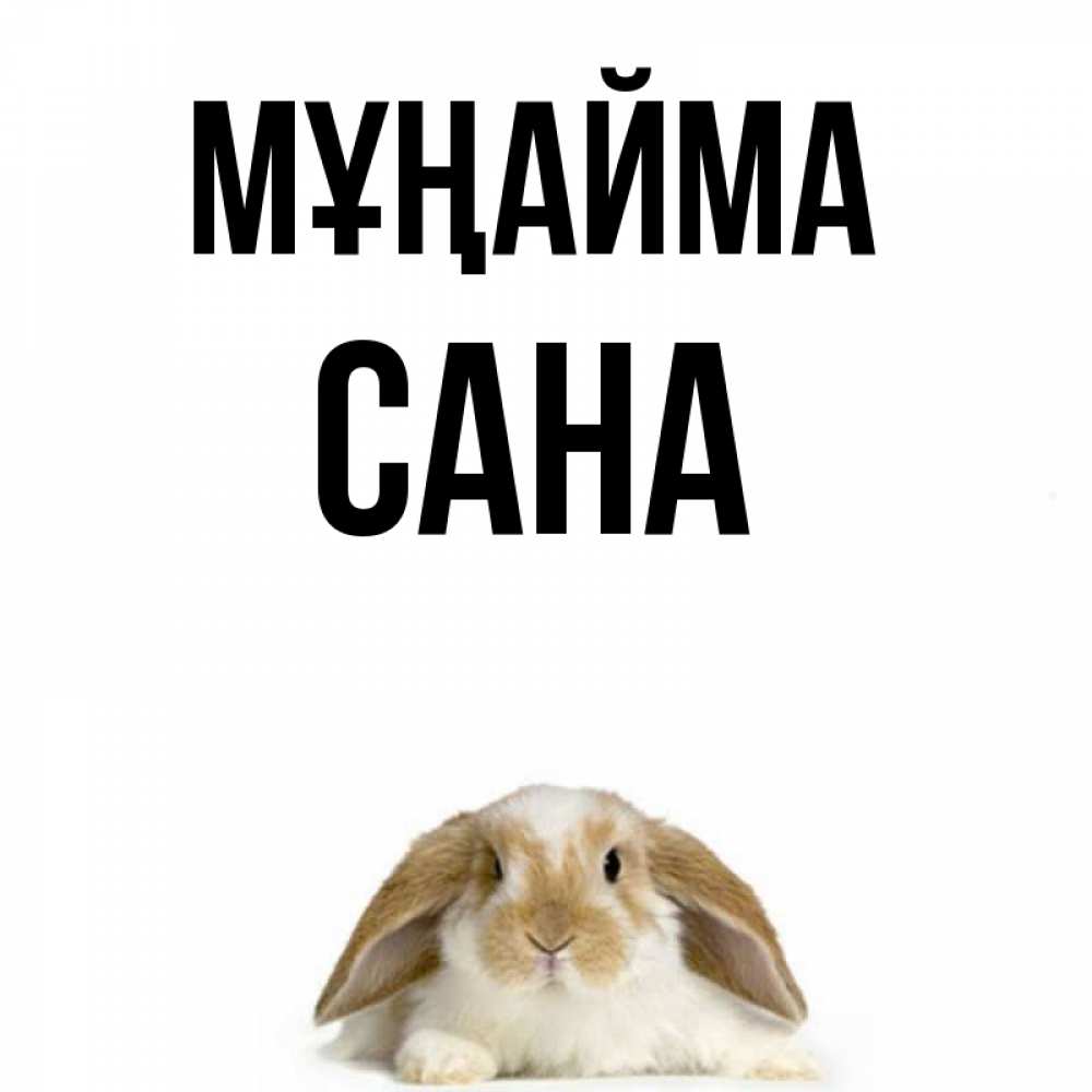 Күн сайын ашық хат с именем, САНА Мұңайма коричнево белый заяц с большими ушками Онлайн тегін жүктеп алу тілектері бар керемет карта 