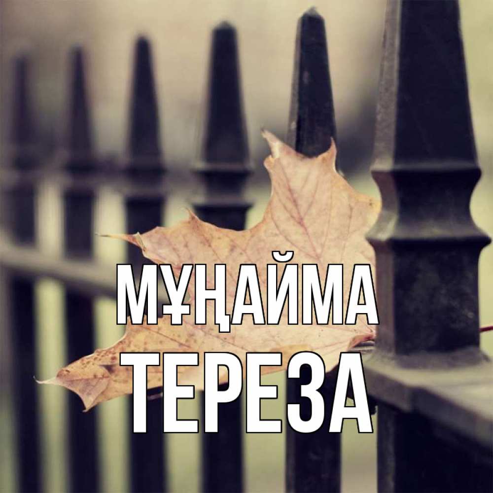 Күн сайын ашық хат с именем, Тереза Мұңайма лист клена Онлайн тегін жүктеп алу тілектері бар керемет карта 