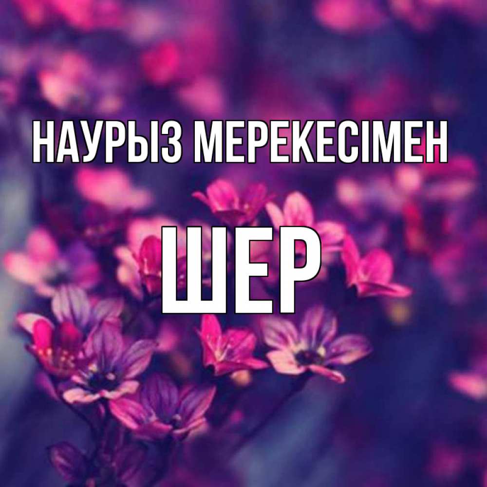 Күн сайын ашық хат с именем, ШЕР Наурыз мерекесімен небольшие цветы 1 Онлайн тегін жүктеп алу тілектері бар керемет карта 