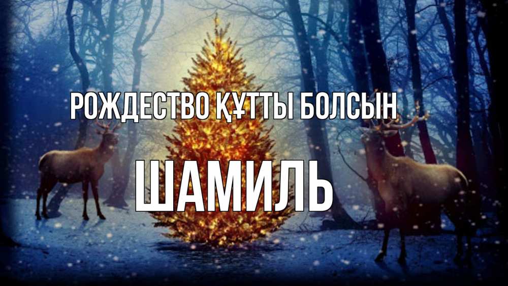 Күн сайын ашық хат с именем, Шамиль Рождество құтты болсын олени, новогодняя елка Онлайн тегін жүктеп алу тілектері бар керемет карта 