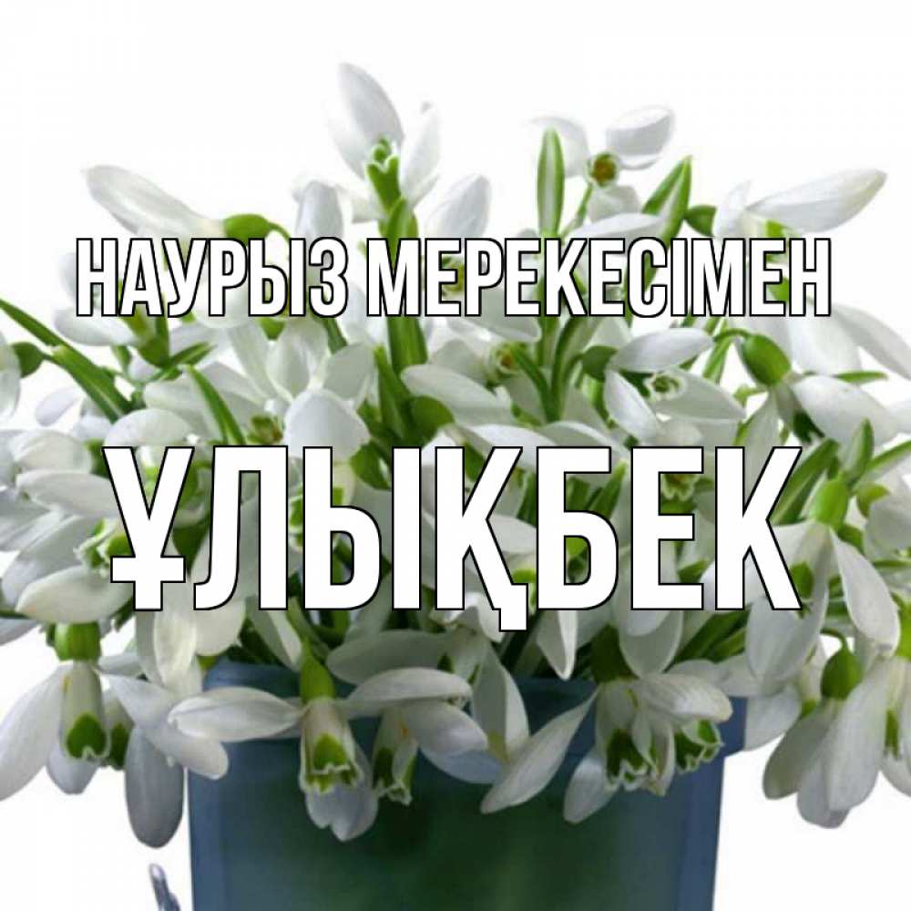 Күн сайын ашық хат с именем, ҰЛЫҚБЕК Наурыз мерекесімен цветы к наурызу новый год в Казахстане Онлайн тегін жүктеп алу тілектері бар керемет карта 
