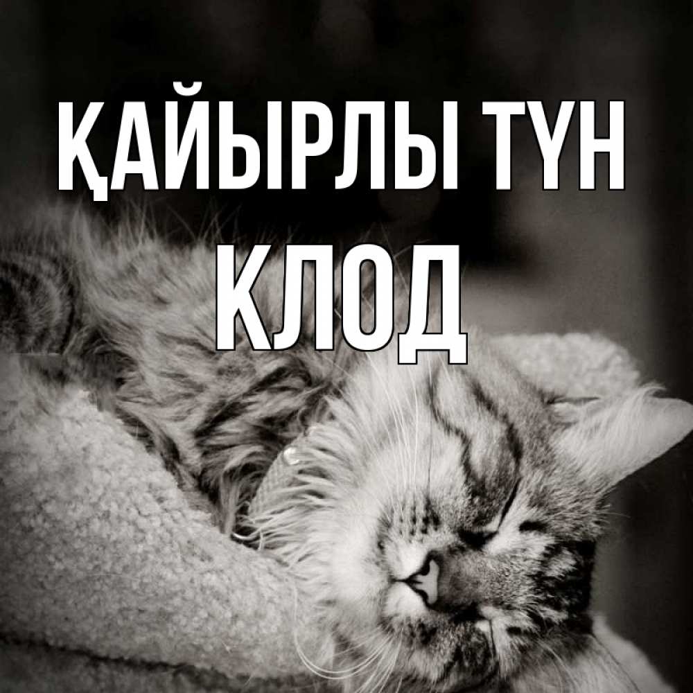 Күн сайын ашық хат с именем, Клод Қайырлы түн котярик пушистый Онлайн тегін жүктеп алу тілектері бар керемет карта 