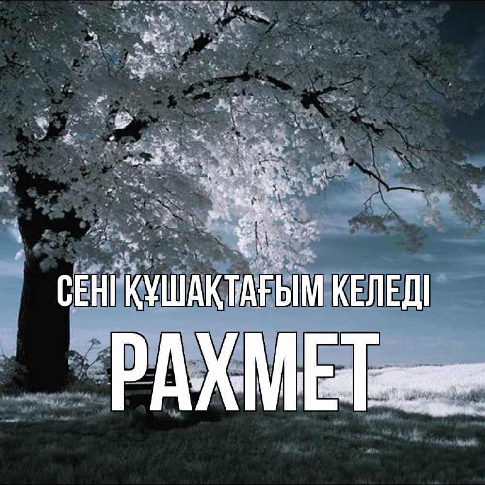 Күн сайын ашық хат с именем, РАХМЕТ сені құшақтағым келеді дерево Онлайн тегін жүктеп алу тілектері бар керемет карта 