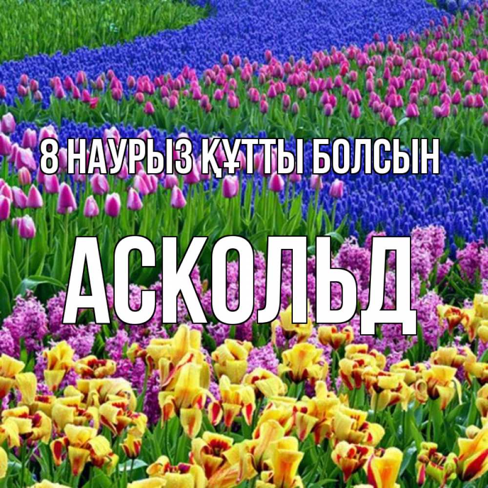Күн сайын ашық хат с именем, Аскольд 8 наурыз құтты болсын цветы Онлайн тегін жүктеп алу тілектері бар керемет карта 