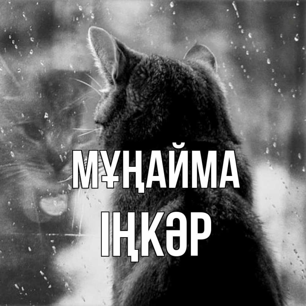 Күн сайын ашық хат с именем, ІҢКӘР Мұңайма отражение кота 1 Онлайн тегін жүктеп алу тілектері бар керемет карта 