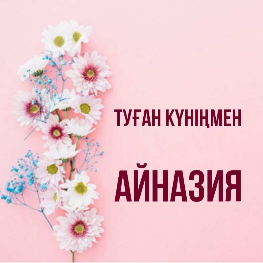 Күн сайын ашық хат с именем, Айназия Туған күніңмен Родная моя с днем рождения тебя картинка с цветами белыми и голубыми Онлайн тегін жүктеп алу тілектері бар керемет карта 