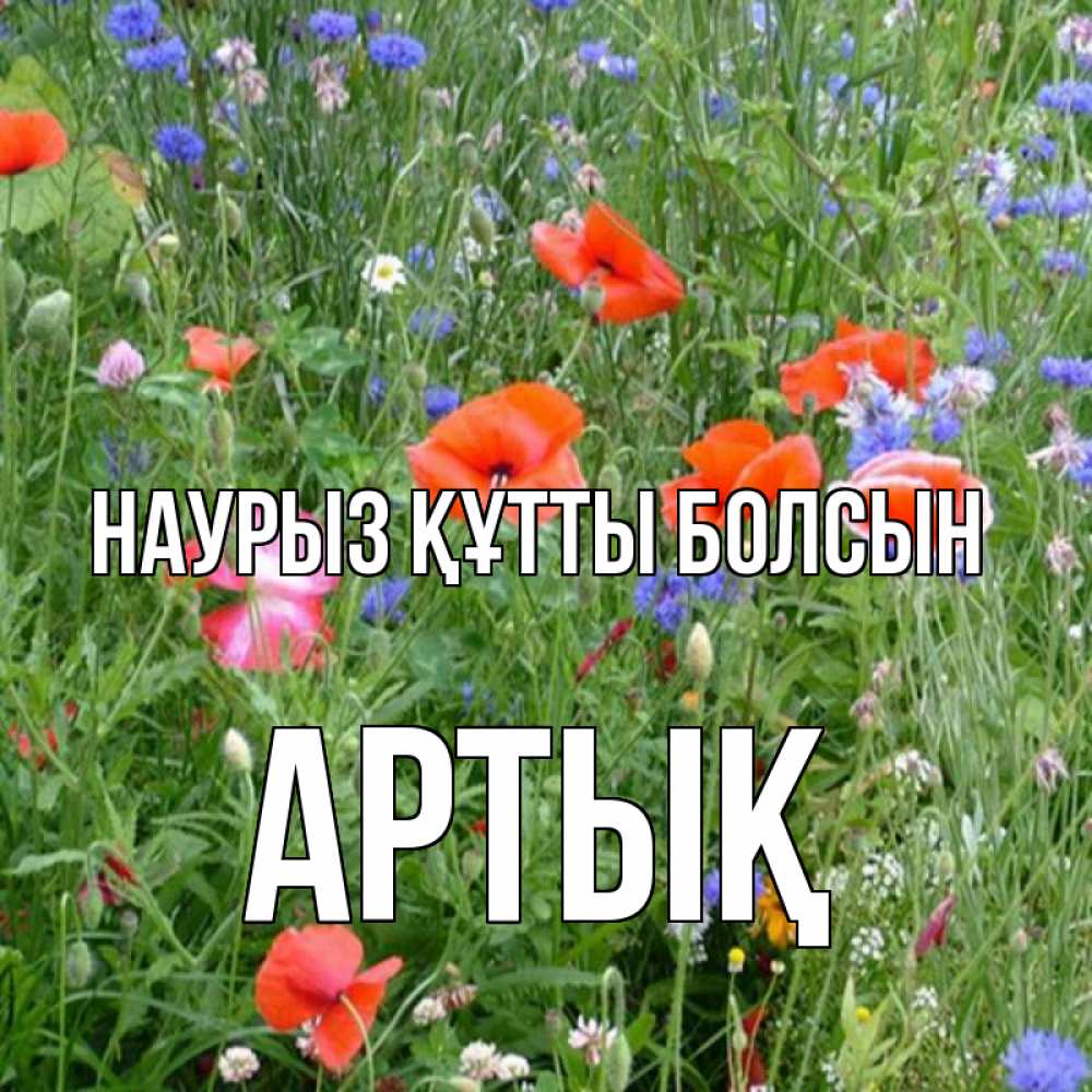 Күн сайын ашық хат с именем, Артық Наурыз құтты болсын наурыз  4 Онлайн тегін жүктеп алу тілектері бар керемет карта 