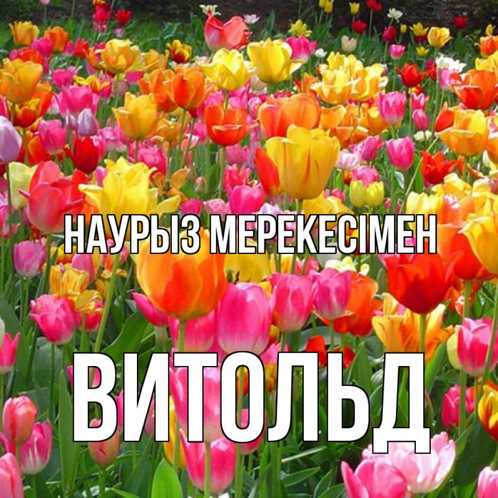 Күн сайын ашық хат с именем, Витольд Наурыз мерекесімен праздник весны наурыз 4 Онлайн тегін жүктеп алу тілектері бар керемет карта 