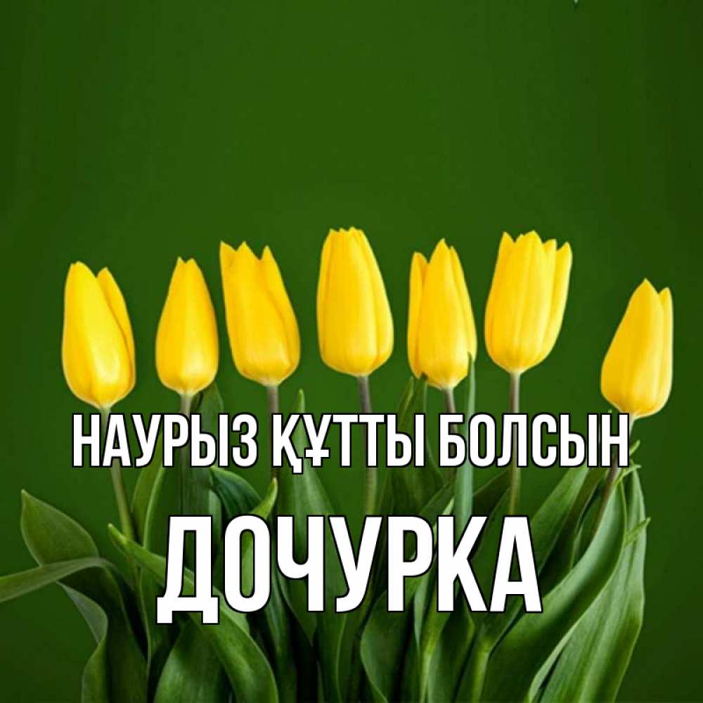 Күн сайын ашық хат с именем, Дочурка Наурыз құтты болсын желтого цвета 3 Онлайн тегін жүктеп алу тілектері бар керемет карта 