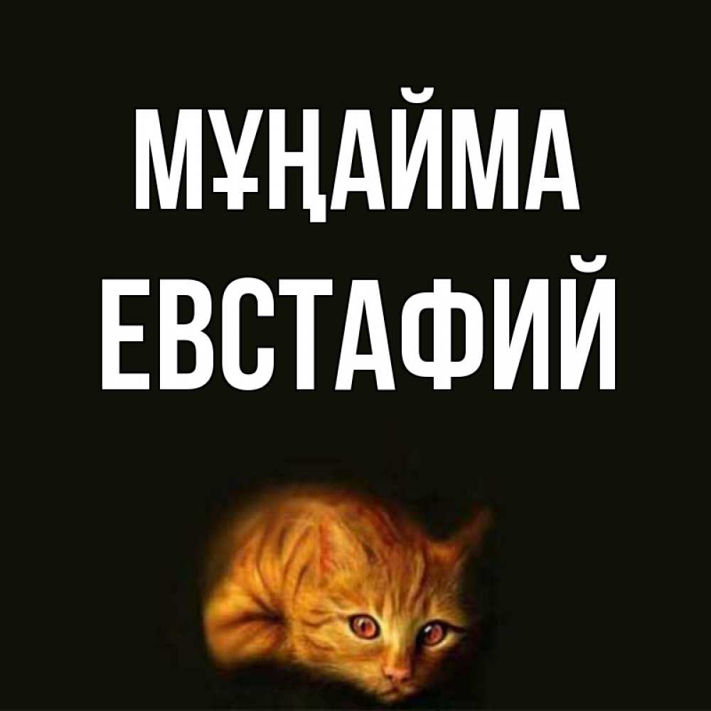 Күн сайын ашық хат с именем, Евстафий Мұңайма лежащий кот в темноте Онлайн тегін жүктеп алу тілектері бар керемет карта 
