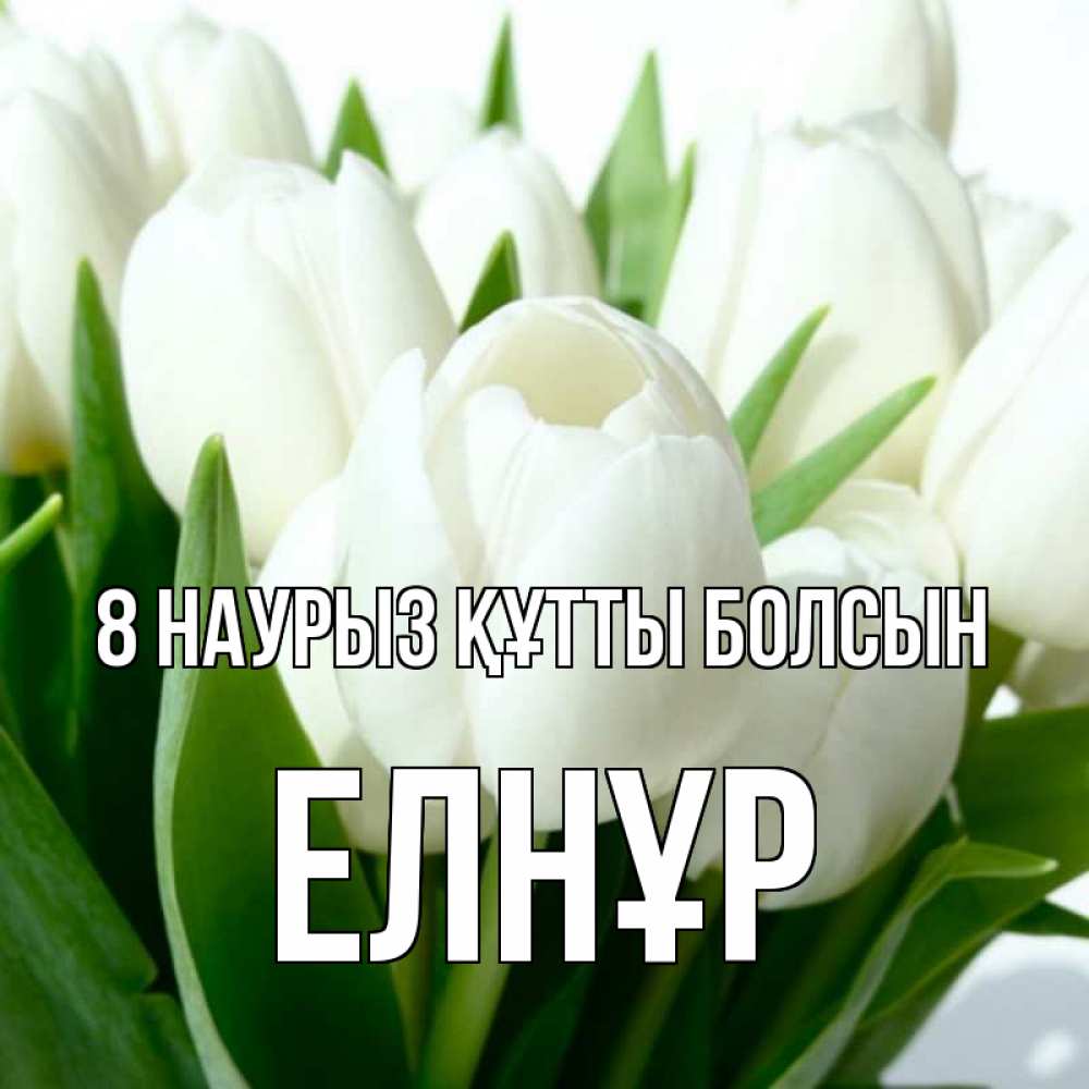 Күн сайын ашық хат с именем, Елнұр 8 наурыз құтты болсын цветы Онлайн тегін жүктеп алу тілектері бар керемет карта 