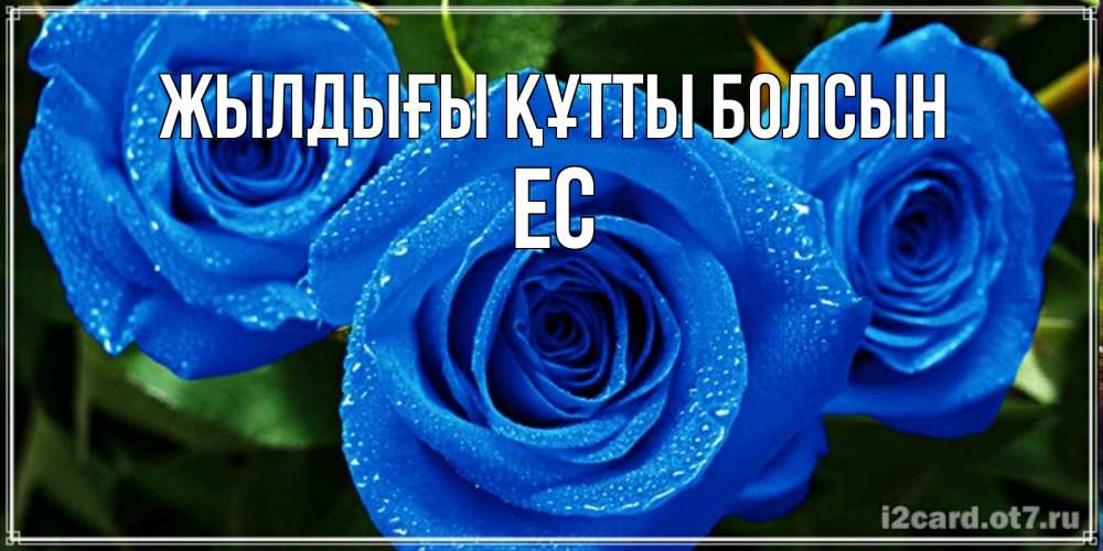 Күн сайын ашық хат с именем, Ес Жылдығы құтты болсын розы с синим цветом Онлайн тегін жүктеп алу тілектері бар керемет карта 