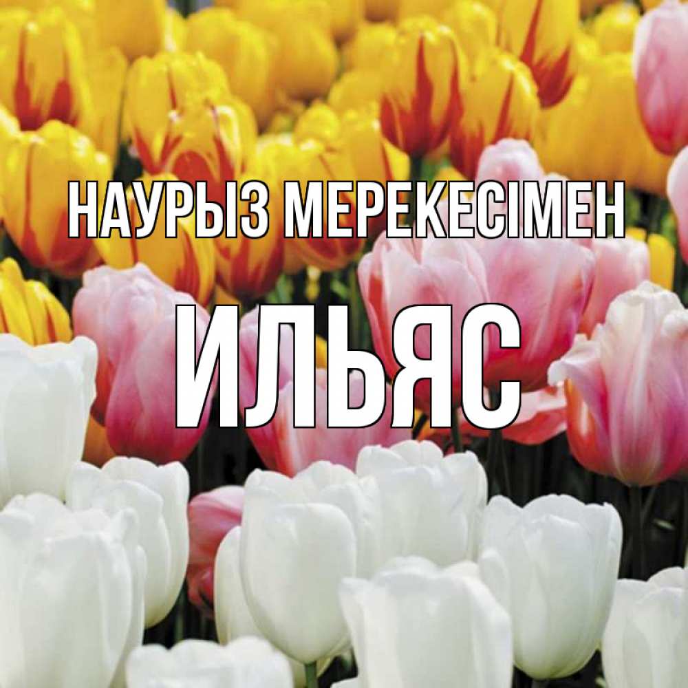 Күн сайын ашық хат с именем, Ильяс Наурыз мерекесімен разноцветные цветы Онлайн тегін жүктеп алу тілектері бар керемет карта 