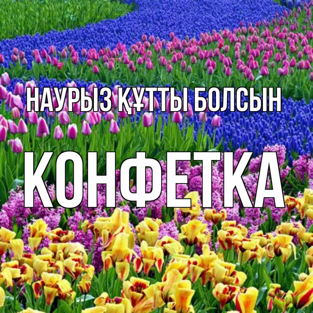 Күн сайын ашық хат с именем, Конфетка Наурыз құтты болсын цветы Онлайн тегін жүктеп алу тілектері бар керемет карта 