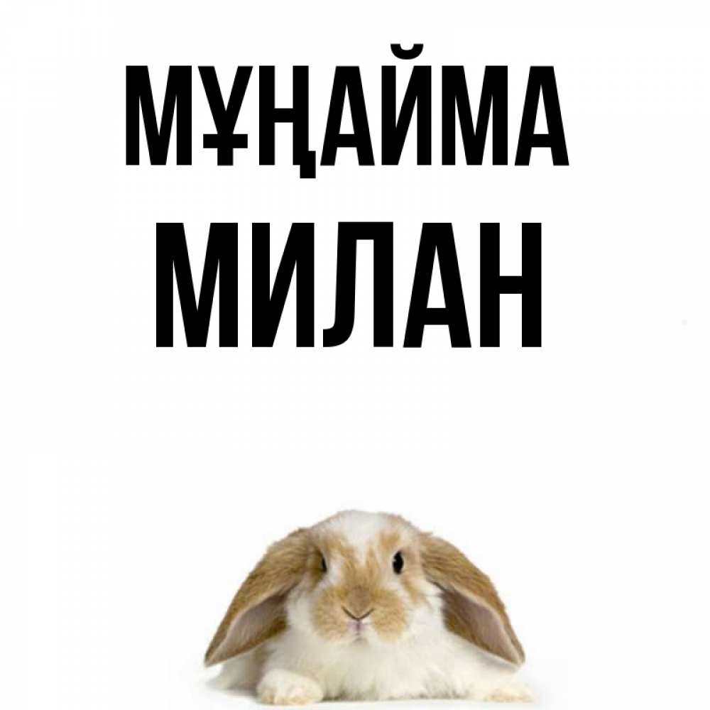 Күн сайын ашық хат с именем, Милан Мұңайма коричнево белый заяц с большими ушками Онлайн тегін жүктеп алу тілектері бар керемет карта 