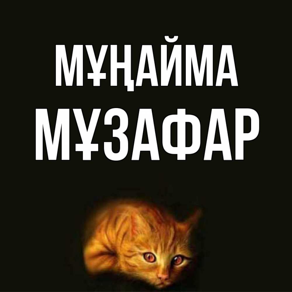 Күн сайын ашық хат с именем, МҰЗАФАР Мұңайма лежащий кот в темноте Онлайн тегін жүктеп алу тілектері бар керемет карта 