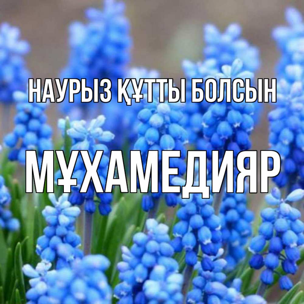 Күн сайын ашық хат с именем, МҰХАМЕДИЯР Наурыз құтты болсын Поздравительная открытка для женщин с цветами на праздничную дату Онлайн тегін жүктеп алу тілектері бар керемет карта 