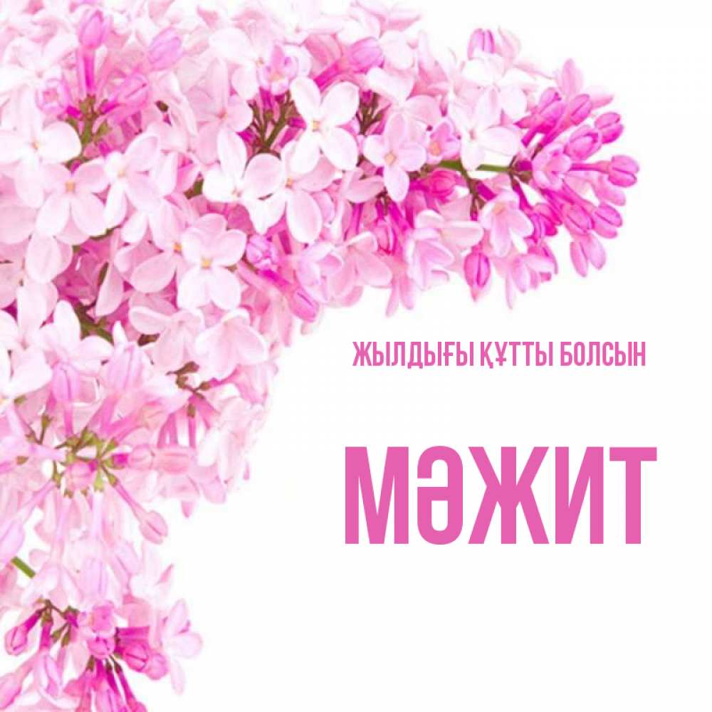 Күн сайын ашық хат с именем, МӘЖИТ Жылдығы құтты болсын Сирень на белом фоне Онлайн тегін жүктеп алу тілектері бар керемет карта 