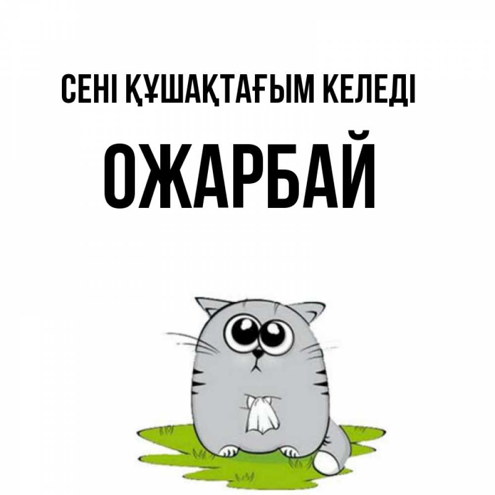 Күн сайын ашық хат с именем, ОЖАРБАЙ сені құшақтағым келеді котик теребит платочек сидя на травке Онлайн тегін жүктеп алу тілектері бар керемет карта 
