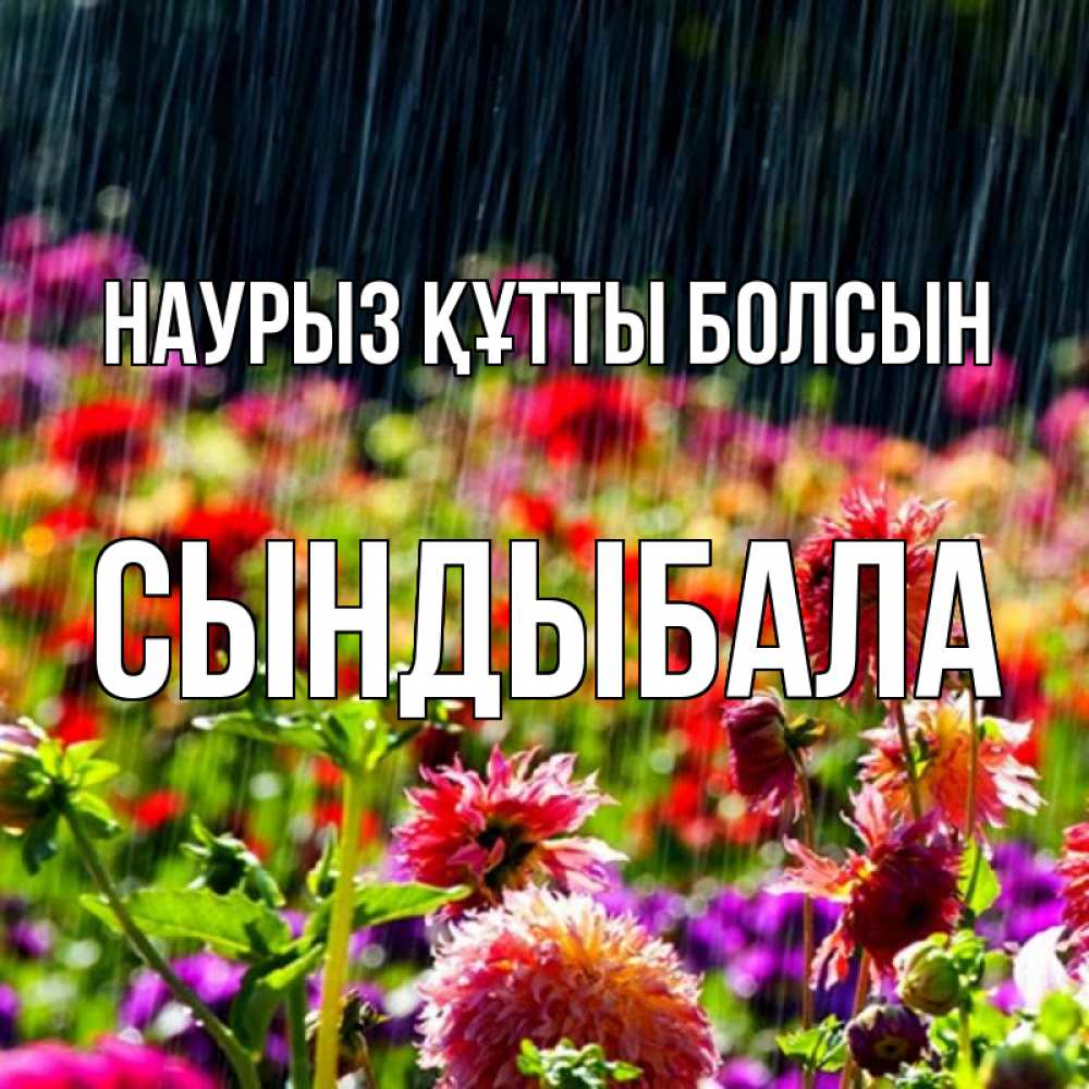 Күн сайын ашық хат с именем, СЫНДЫБАЛА Наурыз құтты болсын цветы под дождиком к наурызу Онлайн тегін жүктеп алу тілектері бар керемет карта 