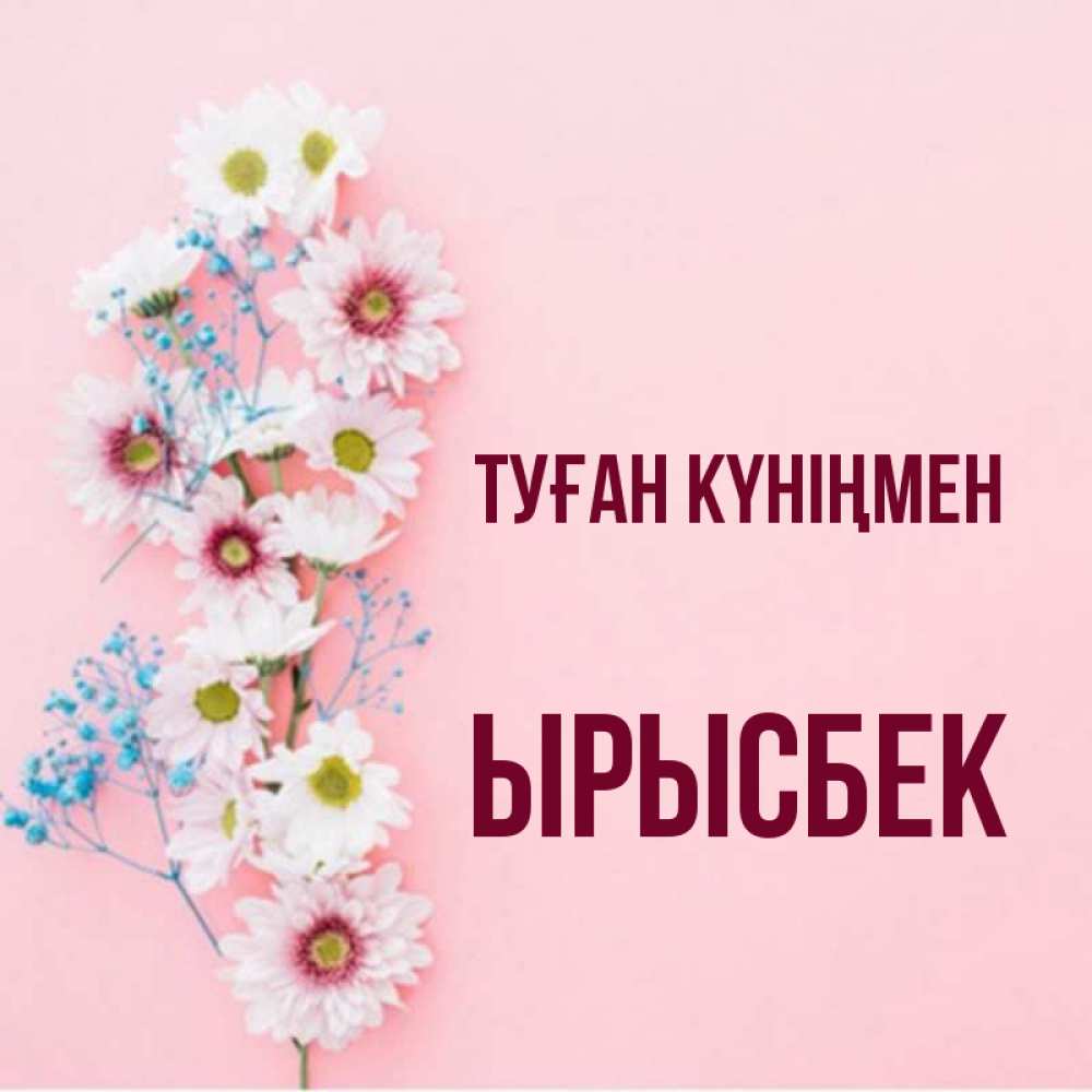 Күн сайын ашық хат с именем, ЫРЫСБЕК Туған күніңмен Родная моя с днем рождения тебя картинка с цветами белыми и голубыми Онлайн тегін жүктеп алу тілектері бар керемет карта 