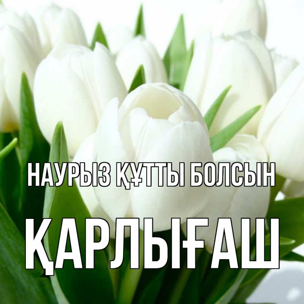 Күн сайын ашық хат с именем, ҚАРЛЫҒАШ Наурыз құтты болсын цветы Онлайн тегін жүктеп алу тілектері бар керемет карта 