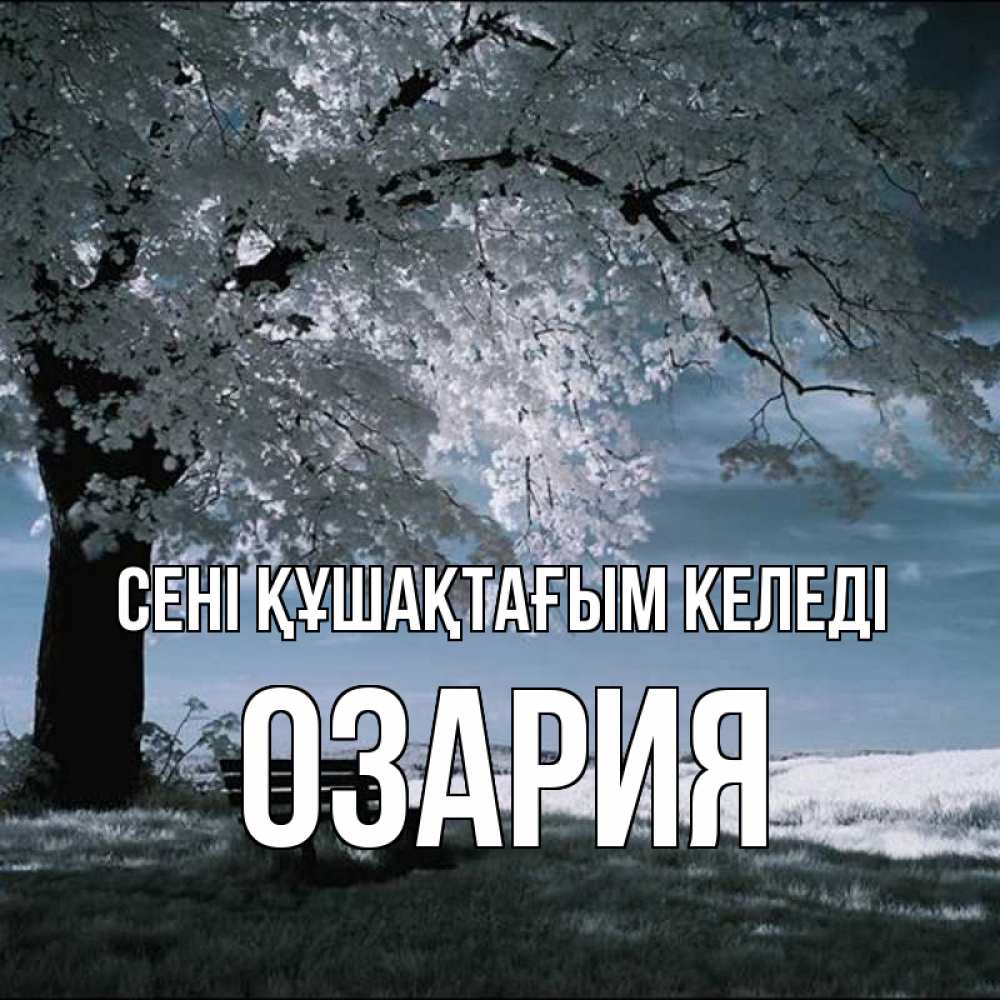 Күн сайын ашық хат с именем, ОЗАРИЯ сені құшақтағым келеді дерево Онлайн тегін жүктеп алу тілектері бар керемет карта 