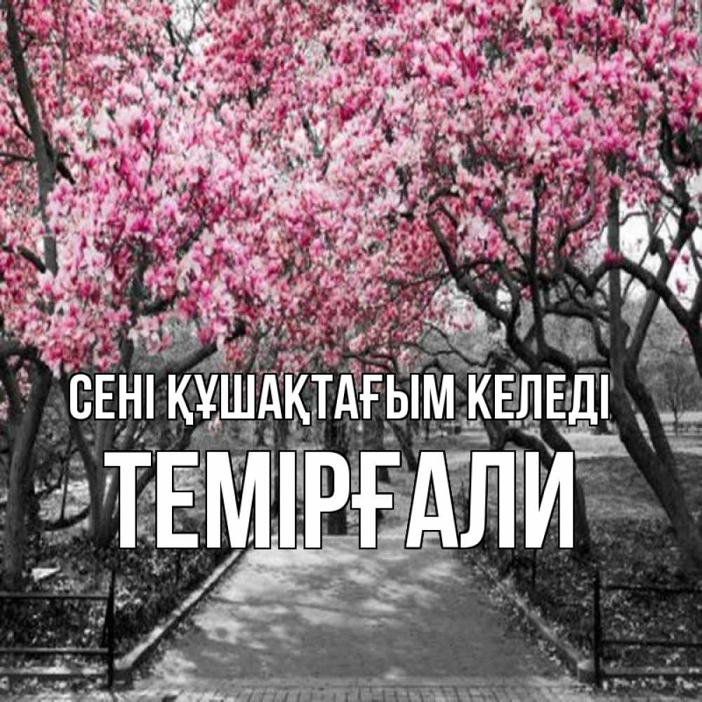 Күн сайын ашық хат с именем, ТЕМІРҒАЛИ сені құшақтағым келеді обработанное фото Онлайн тегін жүктеп алу тілектері бар керемет карта 