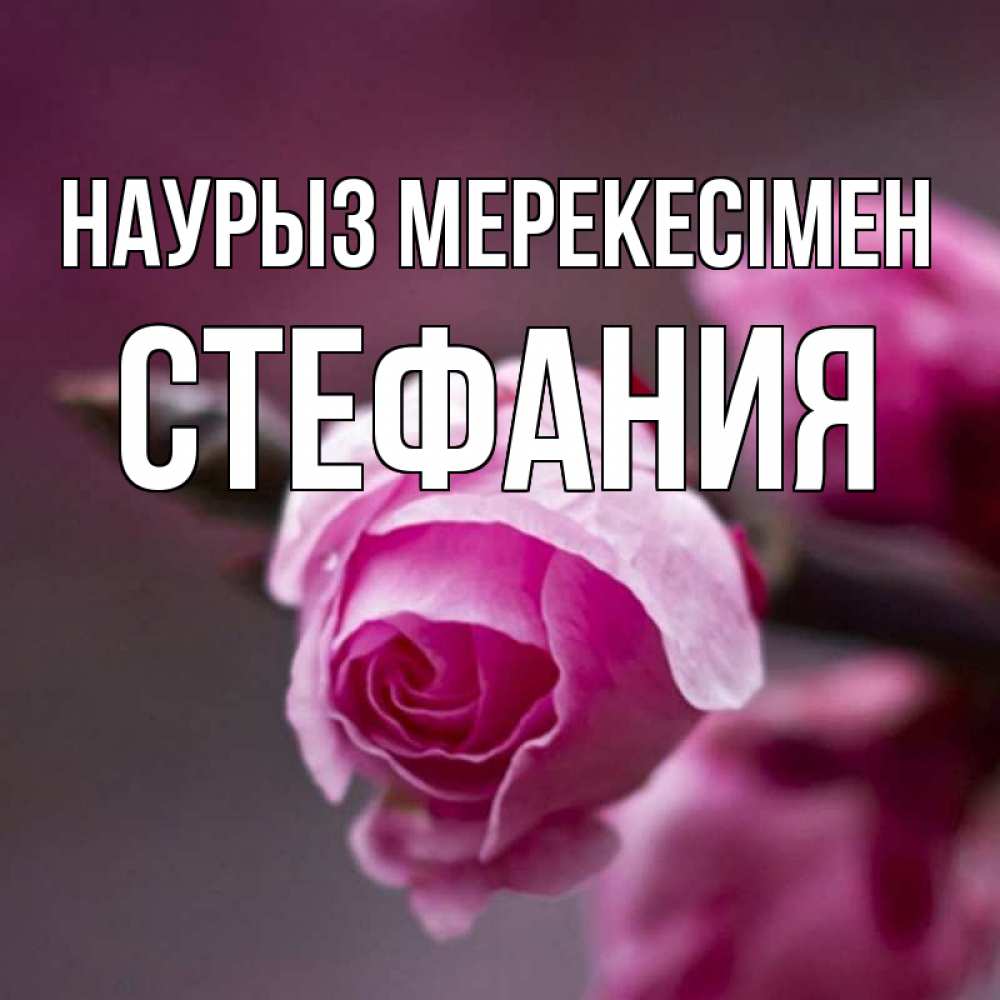 Күн сайын ашық хат с именем, Стефания Наурыз мерекесімен весна Онлайн тегін жүктеп алу тілектері бар керемет карта 