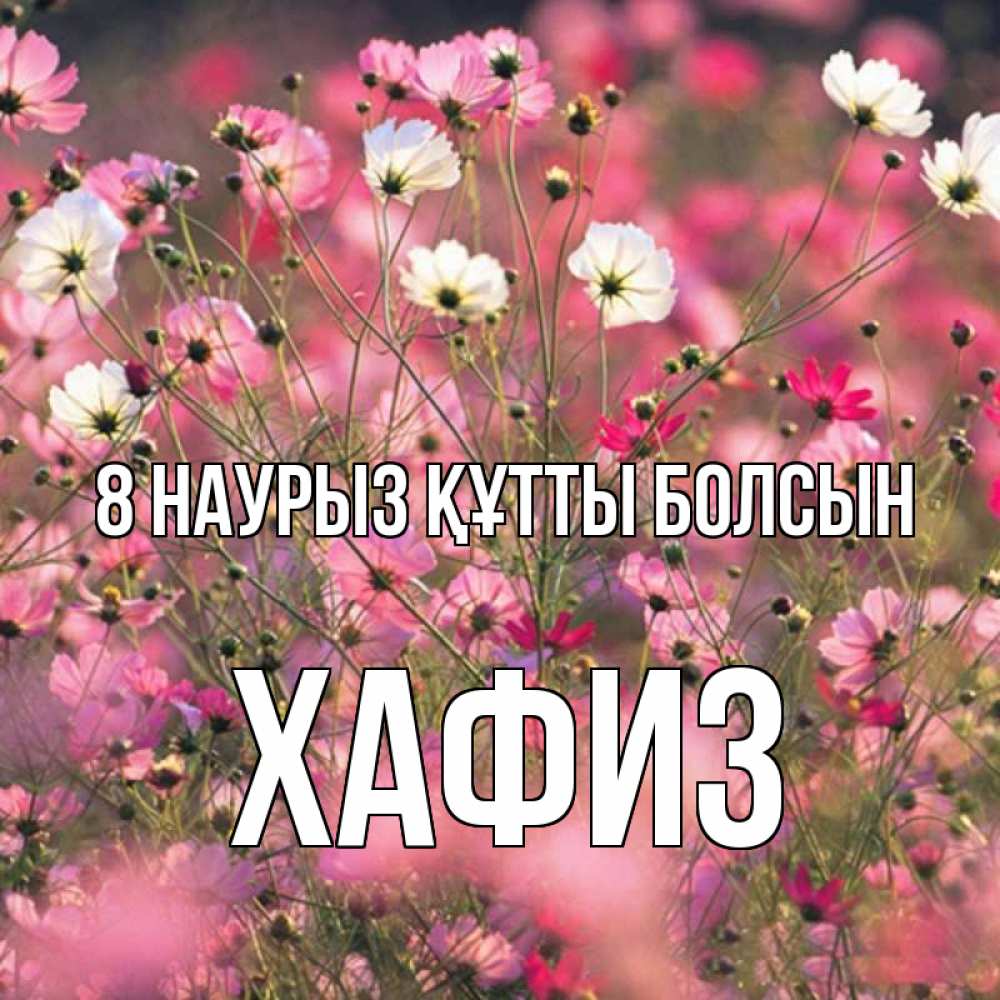 Күн сайын ашық хат с именем, ХАФИЗ 8 наурыз құтты болсын красиво 1 Онлайн тегін жүктеп алу тілектері бар керемет карта 