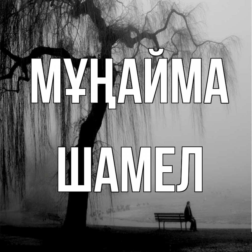Күн сайын ашық хат с именем, ШАМЕЛ Мұңайма висящие ветки дерева и лавочка под деревом Онлайн тегін жүктеп алу тілектері бар керемет карта 