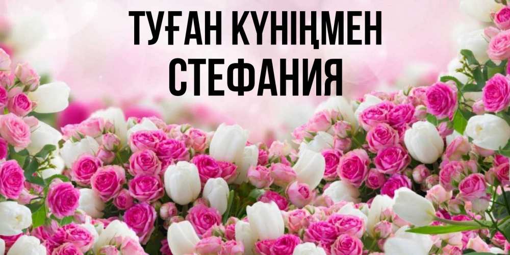 Күн сайын ашық хат с именем, Стефания Туған күніңмен открытка с разными розами Онлайн тегін жүктеп алу тілектері бар керемет карта 