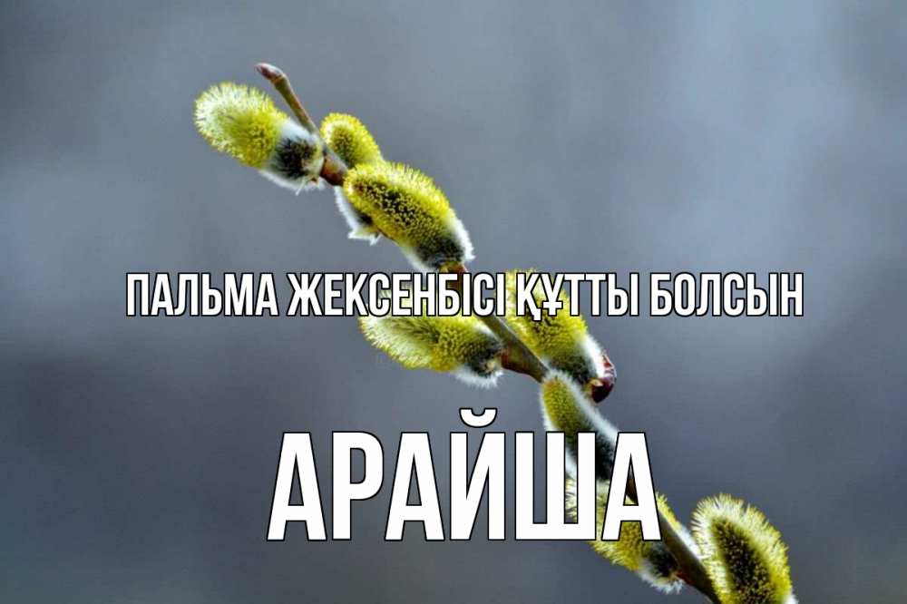 Күн сайын ашық хат с именем, АРАЙША Пальма жексенбісі құтты болсын верба Онлайн тегін жүктеп алу тілектері бар керемет карта 