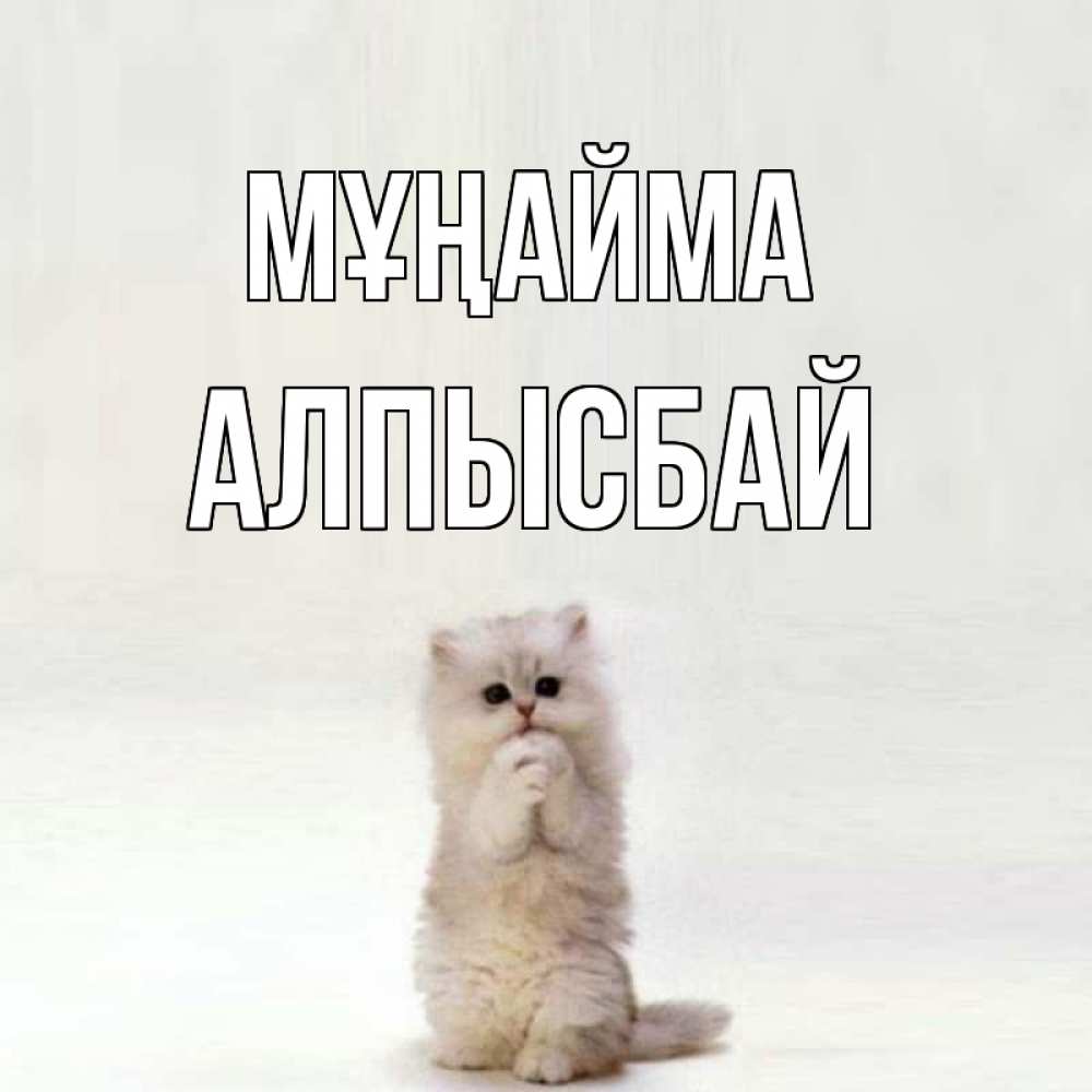 Күн сайын ашық хат с именем, Алпысбай Мұңайма грустный кот Онлайн тегін жүктеп алу тілектері бар керемет карта 