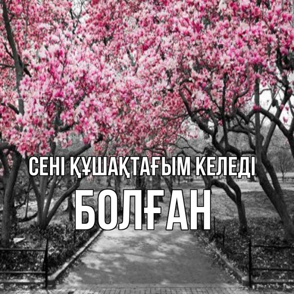 Күн сайын ашық хат с именем, Болған сені құшақтағым келеді обработанное фото Онлайн тегін жүктеп алу тілектері бар керемет карта 