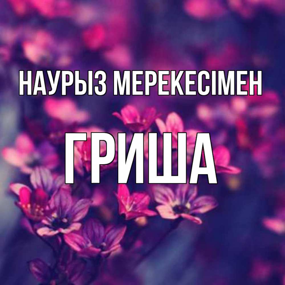 Күн сайын ашық хат с именем, Гриша Наурыз мерекесімен небольшие цветы 1 Онлайн тегін жүктеп алу тілектері бар керемет карта 
