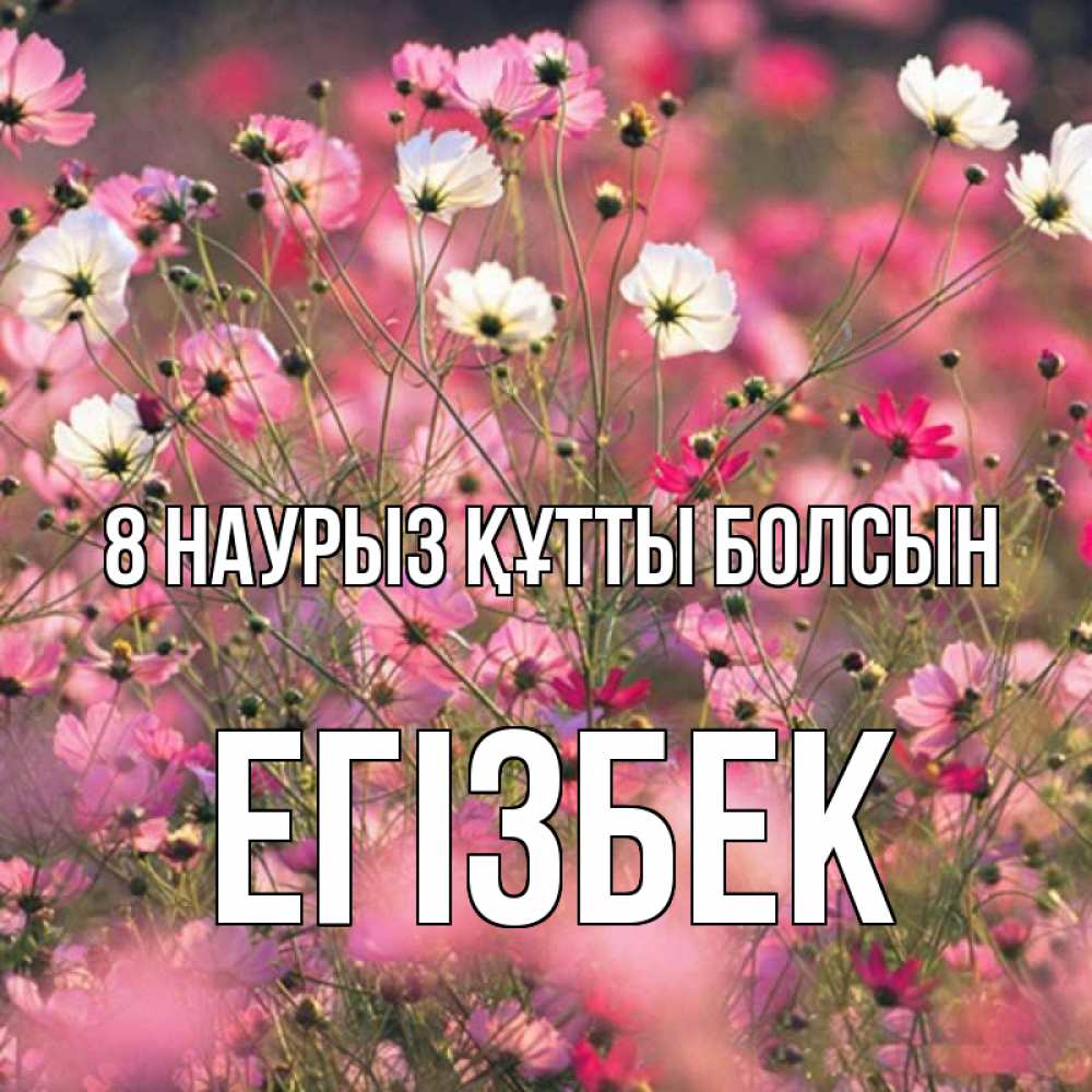 Күн сайын ашық хат с именем, Егізбек 8 наурыз құтты болсын красиво 1 Онлайн тегін жүктеп алу тілектері бар керемет карта 