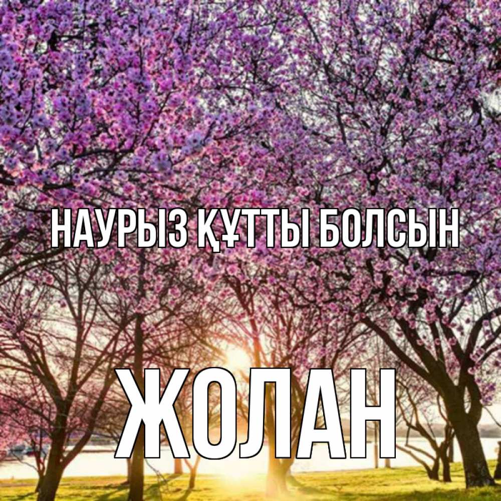 Күн сайын ашық хат с именем, Жолан Наурыз құтты болсын наурыз Онлайн тегін жүктеп алу тілектері бар керемет карта 